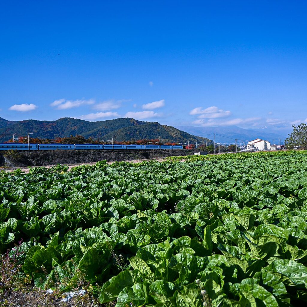 長野県塩尻市の特長