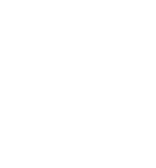 point01