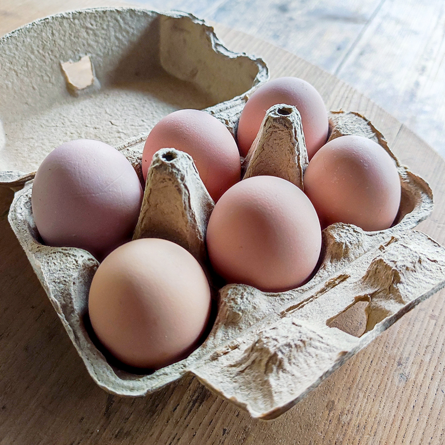 名古屋コーチン卵